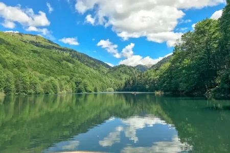 Biogradska National Park: Montenegro’s First National Park and a Balkan Natural Treasure