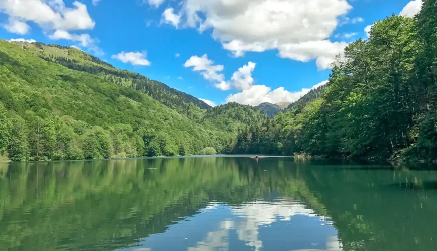 Biogradska National Park: Montenegro’s First National Park and a Balkan Natural Treasure