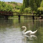 Ohrid Lake