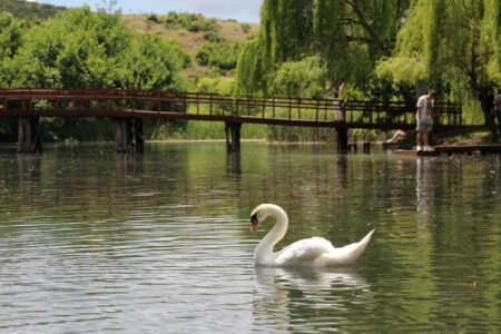 Ohrid Lake