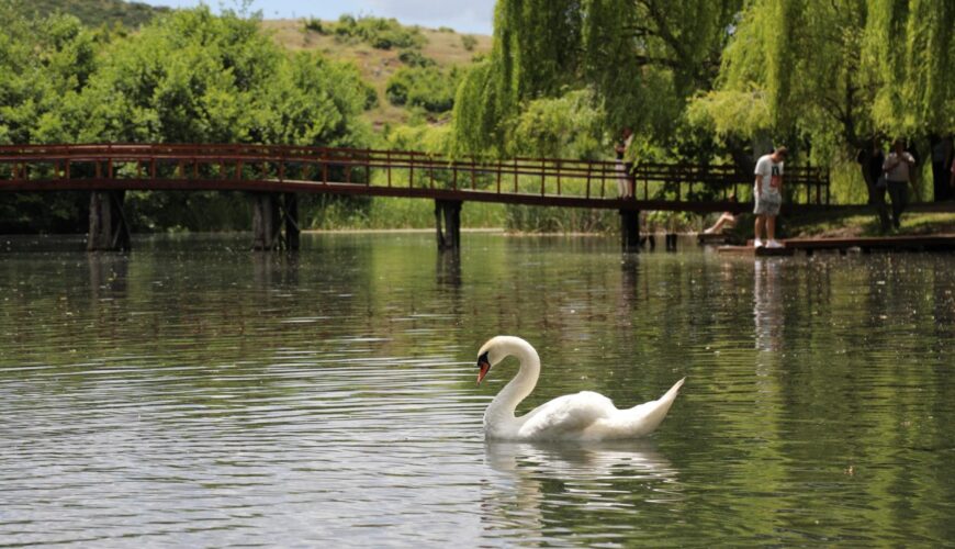 Ohrid Lake