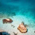 Beaches in Vlore