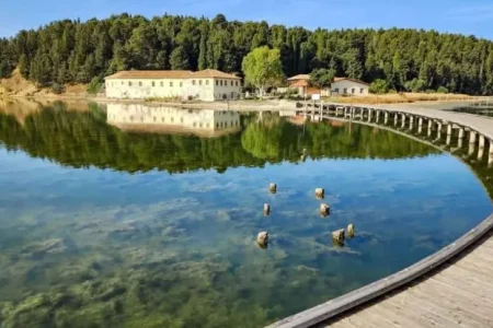 Zvernec Island – A Hidden Gem of Albania’s Riviera