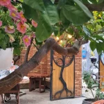 Best traditional restaurants in Tirana