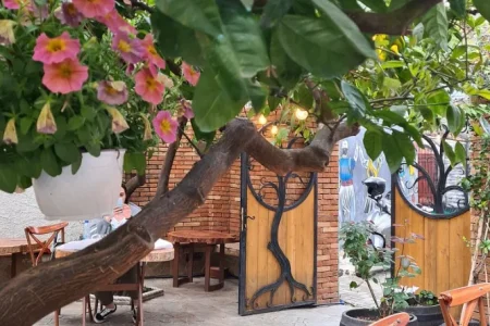 Best traditional restaurants in Tirana