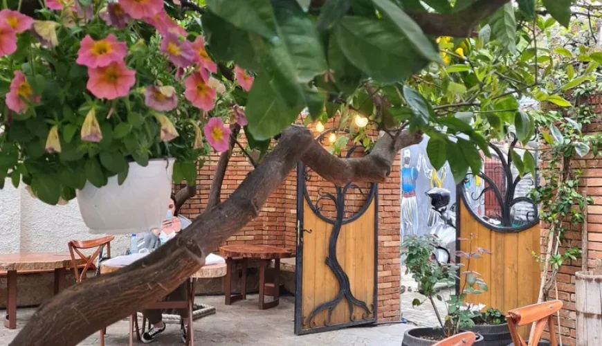 Best traditional restaurants in Tirana